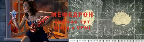 гидра Богданович