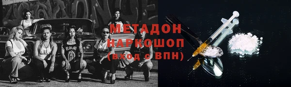 гидра Богданович