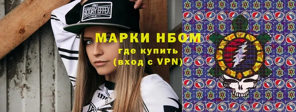 гидра Богданович
