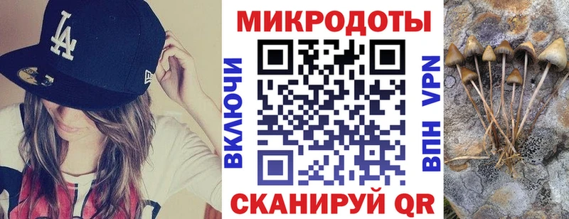 Галлюциногенные грибы прущие грибы  продажа наркотиков  Старица 